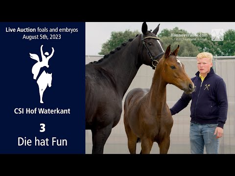 Hof Waterkant Hybrid Foal Auction- Aug. 5th, No. 3 Die hat Fun Dia Corrado - Darco