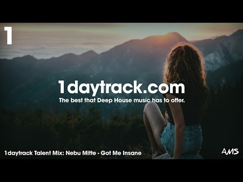 Talent Mix #82 | Nebu Mitte - Got Me Insane | 1daytrack.com