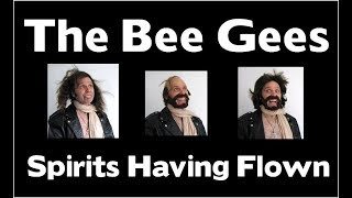 The Bee Gees -  Spirits Having Flown