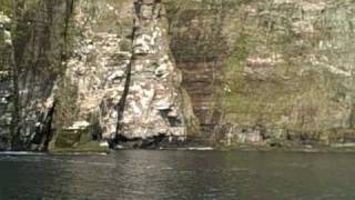 Noss Boat Trip, Shetland Islands, Scotland