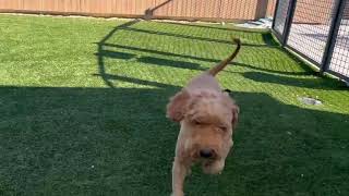 Brandy A#236841 Get Me Out Of Here!