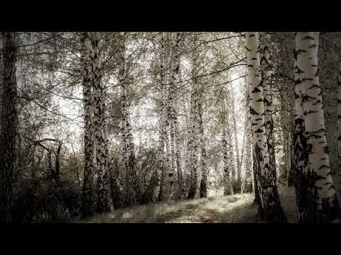 Dobri Stavrevski Dej gidi Stojne ubava