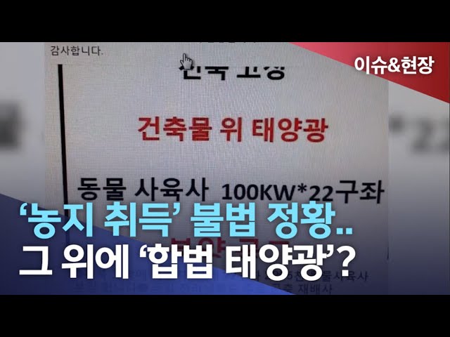 '농지취득' 불법 정황.. 위에는 '합법 태양광'?