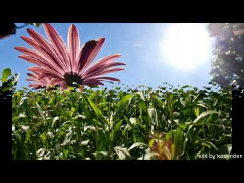 Nermin Candan - Elin Neyine Gerek