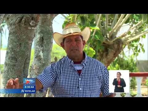 "La Reina" Farm: an example of efficient livestock farming in Cuba