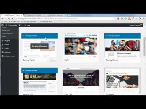 Selecting and managing a WordPress theme video thumbnail