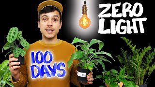 Testing Plants In ZERO LIGHT - Which Will Survive?