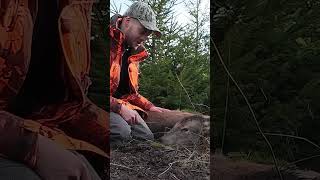 Drückjagd Hirsche - neues Video auf meinem Kanal #jagd #rotwild #hirsch