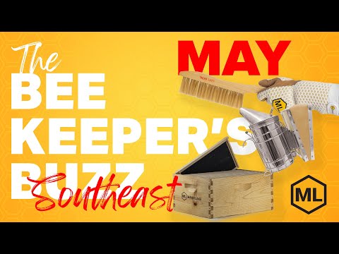 The Buzz on Local Beekeepers | Golden Age