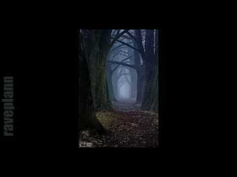 Dark forest FLIPKNOT Parvati Records Series 16 24 11 2016