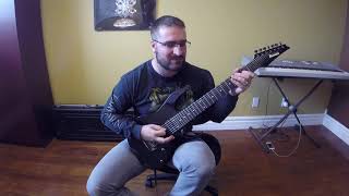 Quo Vadis Silence Calls the Storm (Guitar Cover by Matt Mitschke)