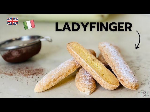 Video Pronunciation of ladyfingers in English