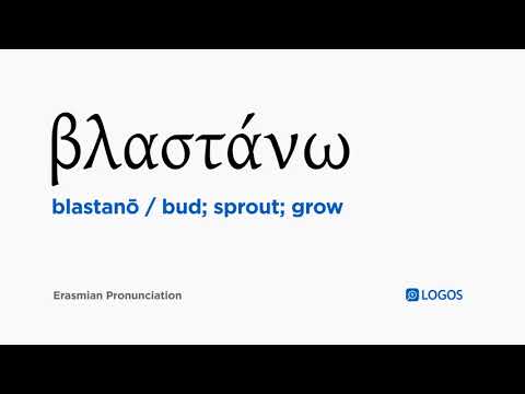 How to pronounce Blastanō in Biblical Greek - (βλαστάνω / bud; sprout; grow)