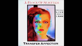 Transfer Affection by A Flock Of Seagulls ‎