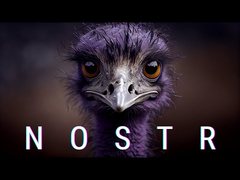 Что такое NOSTR | Биткоин по понедельникам #13 video thumbnail