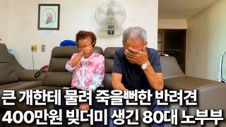 유튜브 썸네일
