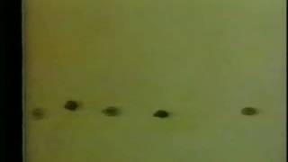 The Letter People TV 11 Meet Mister Z