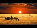The Beauty Of Africa Landscapes And Wildlife