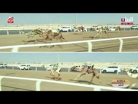  ش 5 (مداهمة) لـ سعيد جابر عبدالله الحربي  12:18:96 ,مهرجان الأمير الوالد 2026/2/9 ثنايا الشحانية  