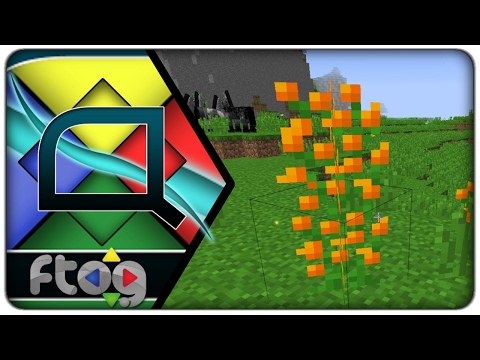 [Lets Play] Quantus :: E17 - Exploring for Magical Ingredients