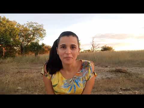 Música de acolhida para às aulas on-line.#educaçãoinfantil