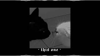 snowmine - this one ( SLOWED/REVERB )