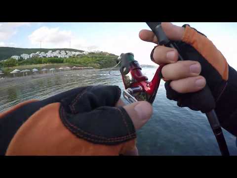 Duo Tetra Works Yurameki