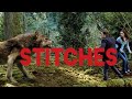 Twilight Wolves Stiches
