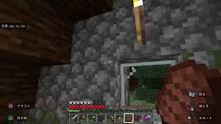 マイクラ#5