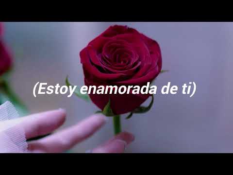 AOA - STAY WITH ME [SUB. ESPAÑOL]