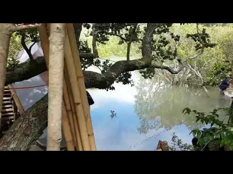 rolling over the scow