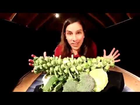 Brassica oleracea explained