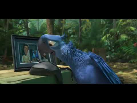 Rio 2 - at the camping site