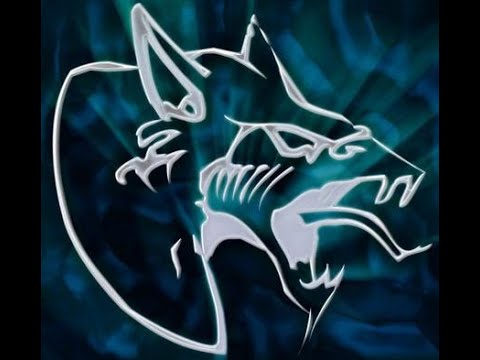 Neophyte & The Stunned Guys - Army Of Hardcore