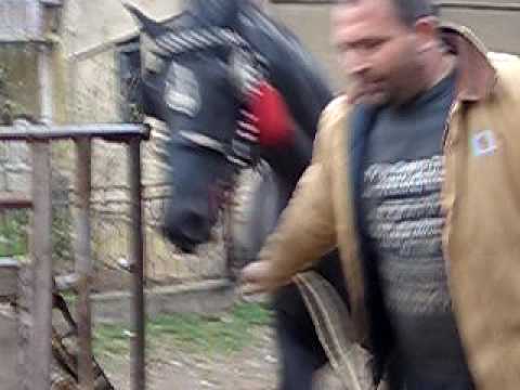 Simic Dragan Velika Obarska