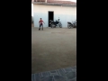 Só Os Patins Louco