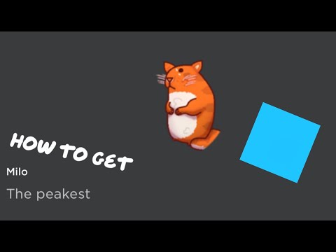 Find the chomiks but bad (47) | How to get Milo