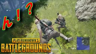 [PUBG] 珍動画