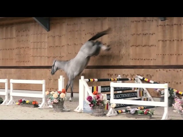 jumping