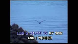 EVERGREEN - WESTLIFE (Synergy Music) | Multiplex 