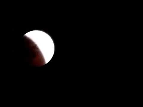 King Krule // Sublunary (video)