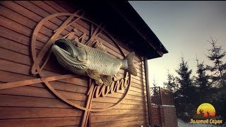 Золотой сазан рыбалка подольский район