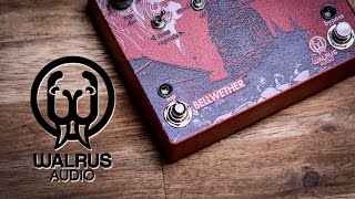 Walrus Audio Bellwether (Delay) - Review (4K iana) resolutions fixed