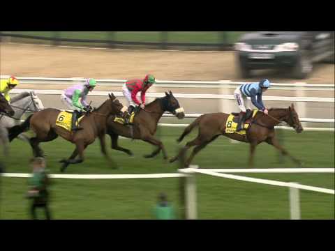 2014 Ryanair Chase - Dynaste - Racing TV