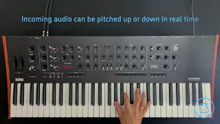 Video thumbnail for Sinevibes KORG FX - Finite granular pitch shifter by Sinevibes