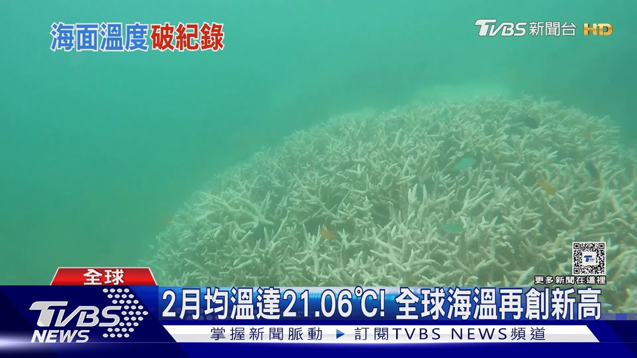 全球海溫破記錄！大堡礁珊瑚大規模白化　2016年來第5次