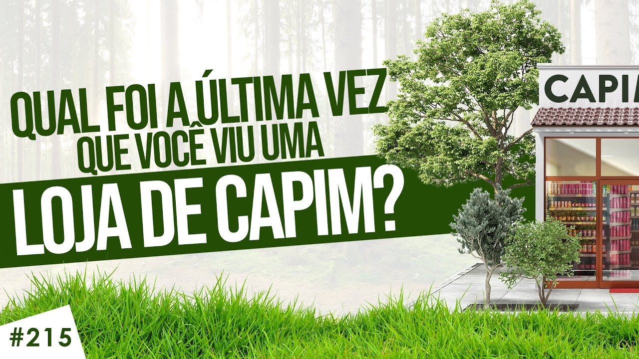 Qual a última vez que você viu uma LOJA DE CAPIM?