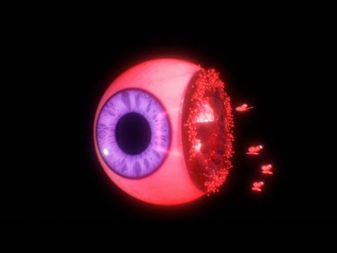 Video thumbnail for Can’t Remember Your Name