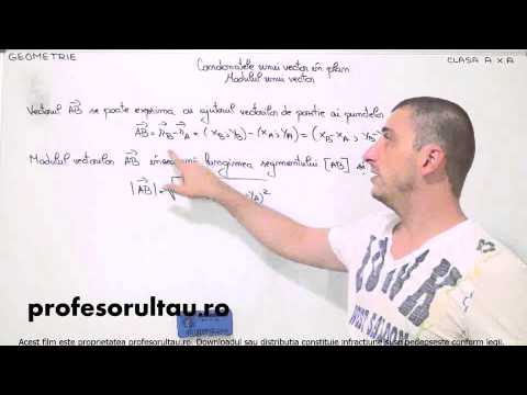 22   cls10   Geometrie   coordonatele unui vector in plan modulul unui vector - profesorultau.ro