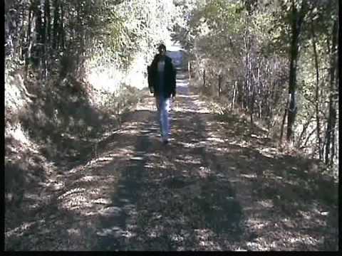 à l'etat sauvage RDSK.asf